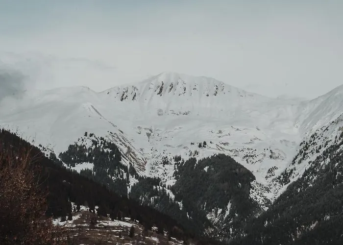 Des Cerisiers - Luxe Et Parking A Le Praz *